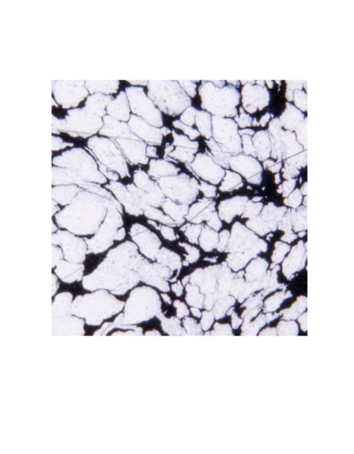 Polvos de embossing WOW One Hundred & One