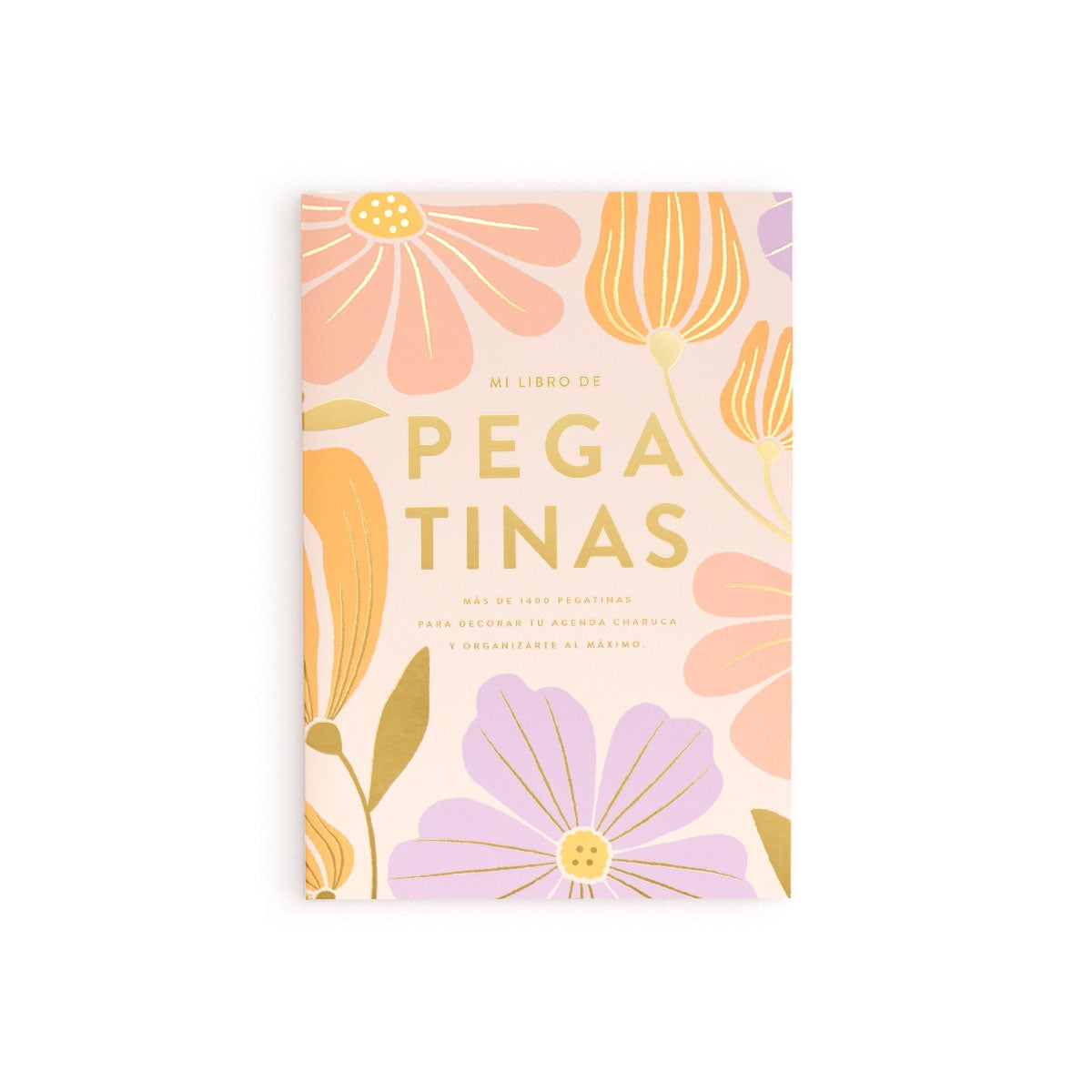 Libro de pegatinas “Flores” 23/24 Charuca