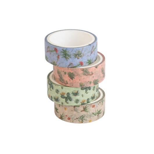 Set 4 Washi Tape Botanical Cacti Kokonote