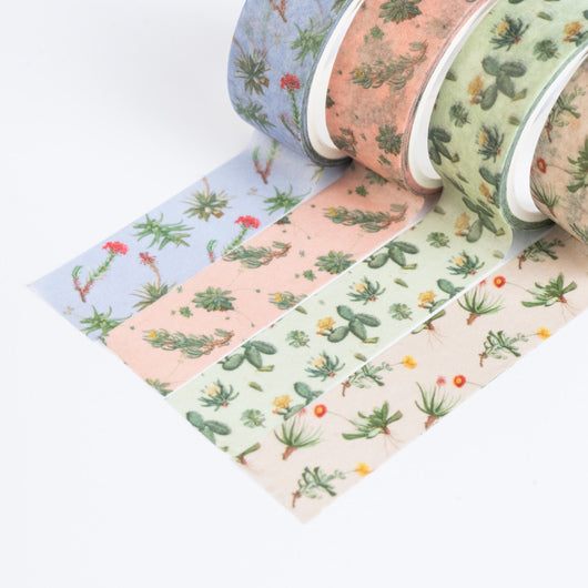 Set 4 Washi Tape Botanical Cacti Kokonote