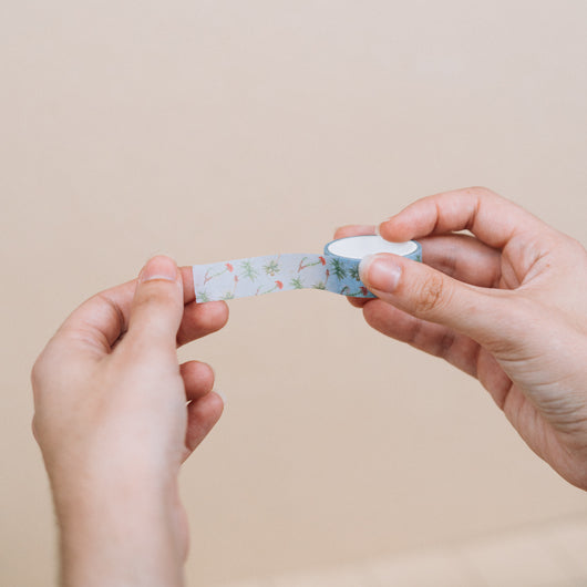 Set 4 Washi Tape Botanical Cacti Kokonote