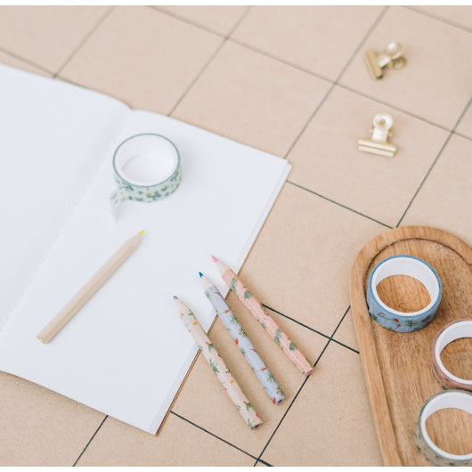 Set 4 Washi Tape Botanical Cacti Kokonote