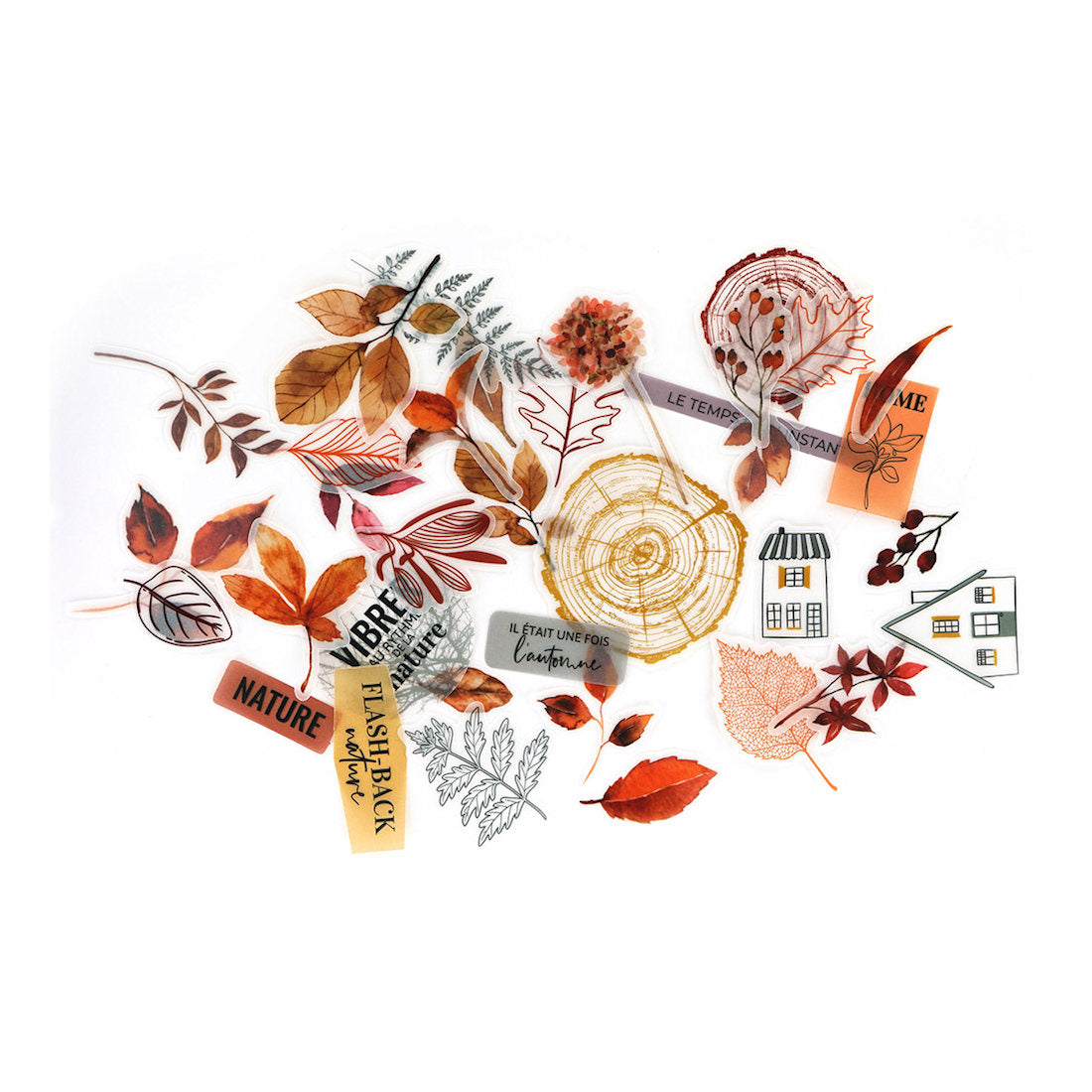 Die cuts Vellum Terre Des Sens Florileges