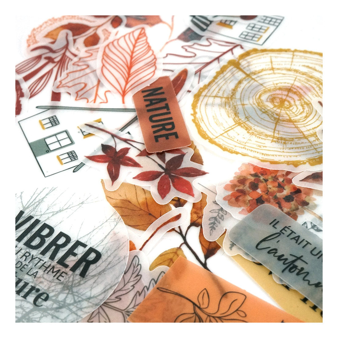 Die cuts Vellum Terre Des Sens Florileges