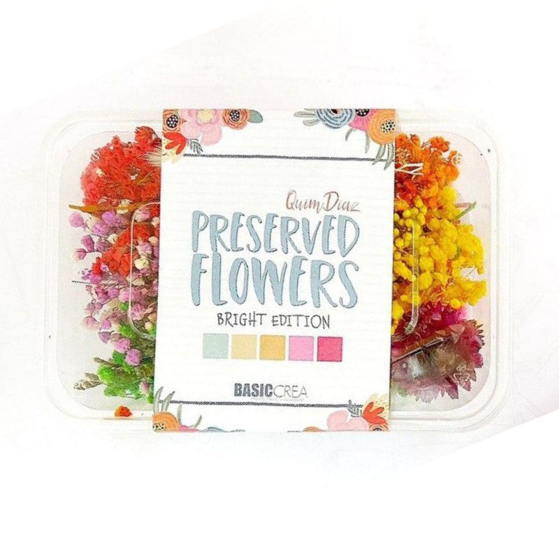 Set de Flores Secas Preservadas Bright Edition Quim Diaz