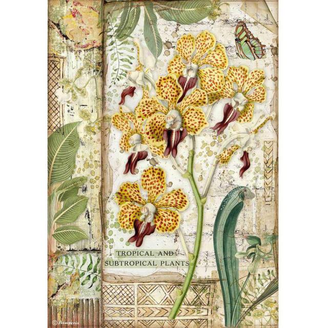 Papel de arroz A4 Orquidea Amazonia Stamperia