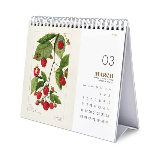 Calendario de sobremesa Botany 2024