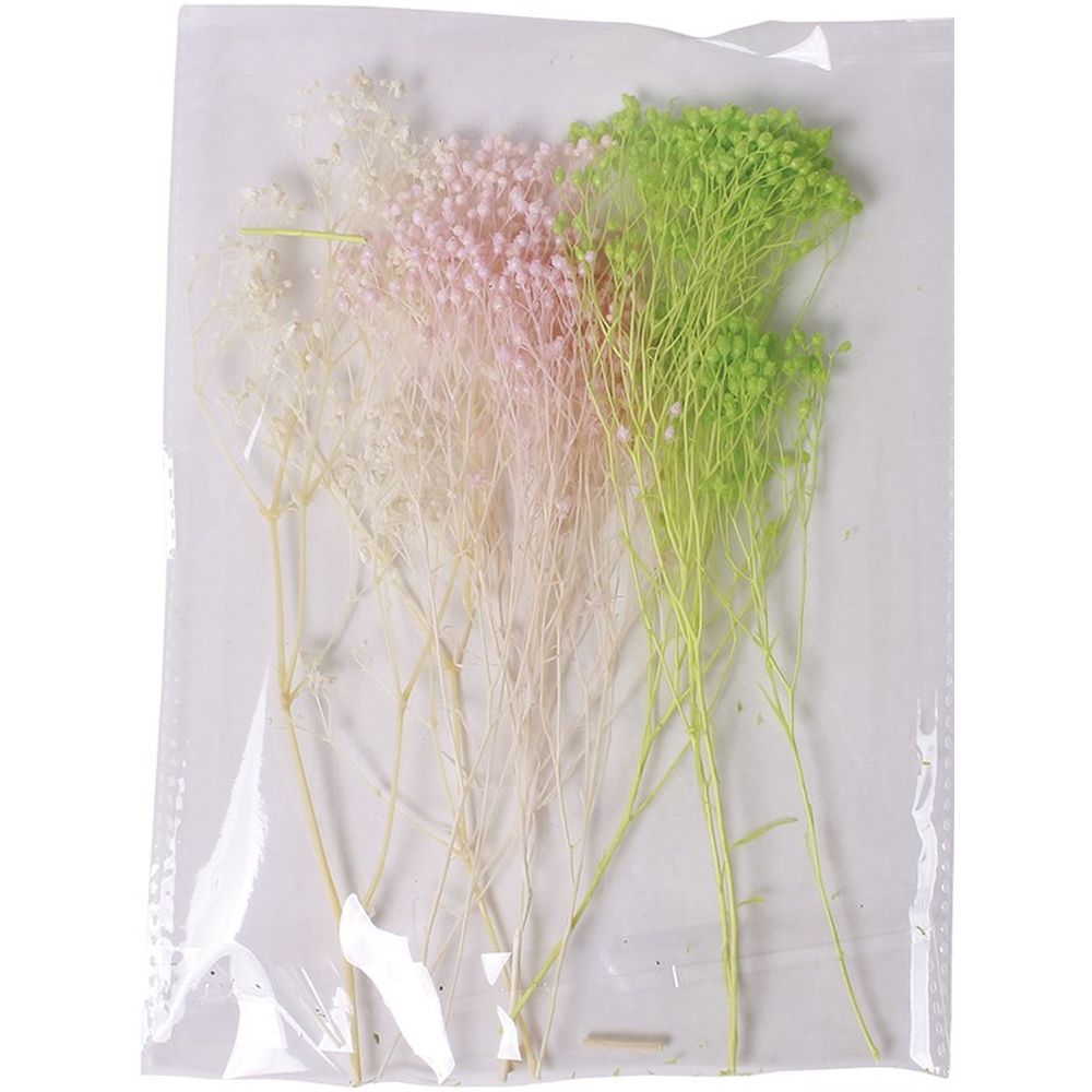 Brooms Natural Tricolor Blanco, Rosa, Verde Artis Deco
