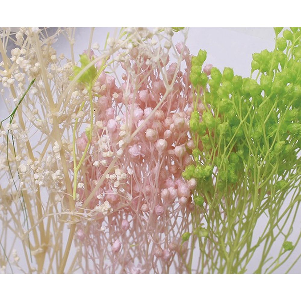 Brooms Natural Tricolor Blanco, Rosa, Verde Artis Deco