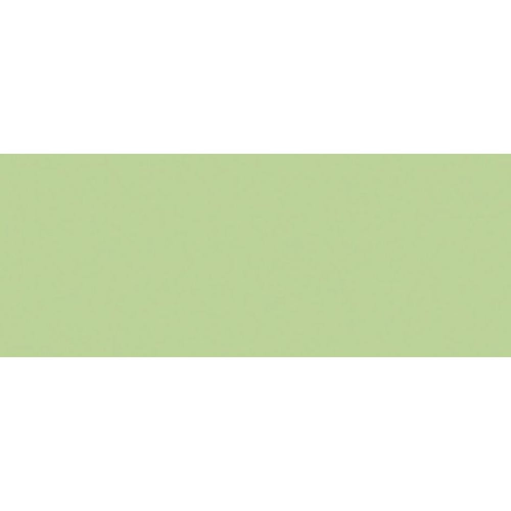 Tombow 243 dual brush Mint