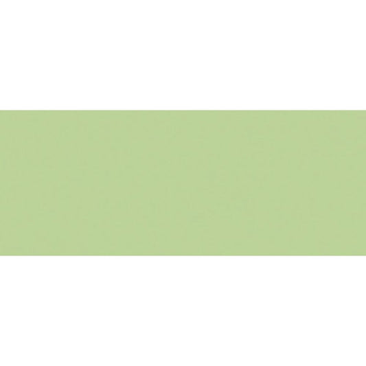 Tombow 243 dual brush Mint