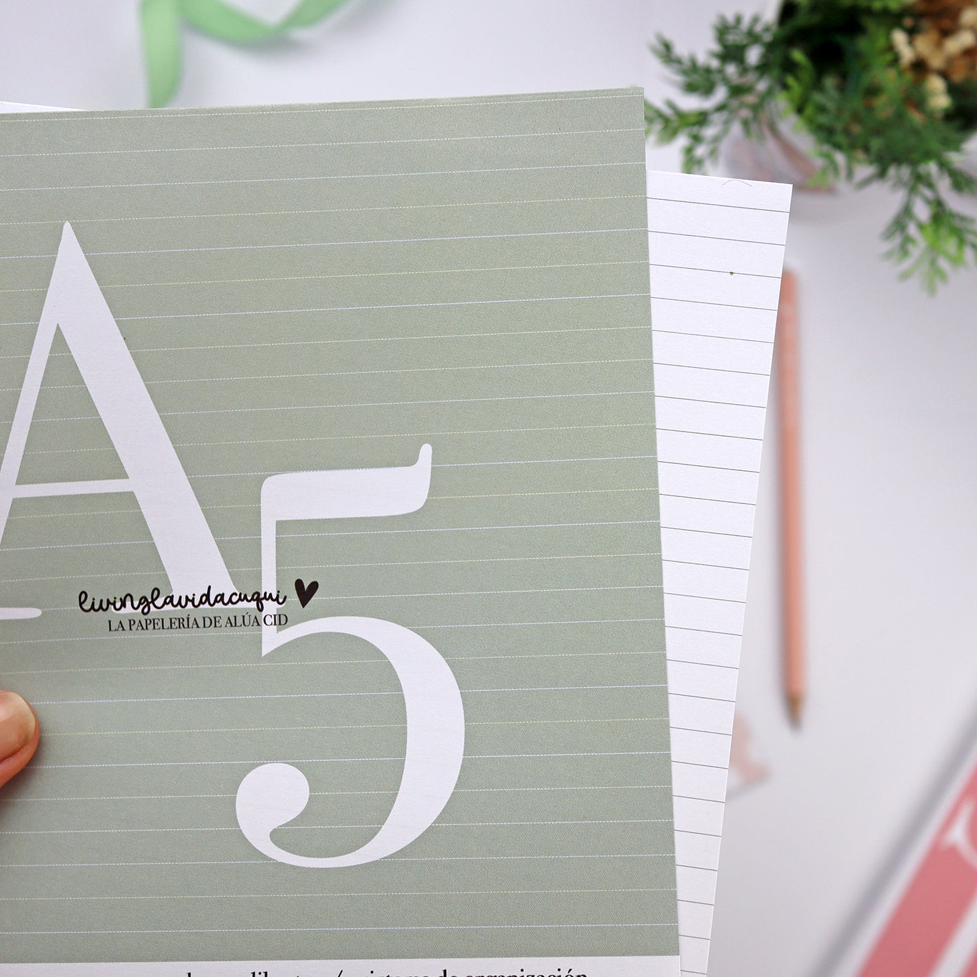 Relleno A5 Listas para cuaderno Alua Cid