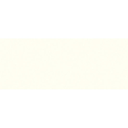 Tombow N00 dual brush Blender