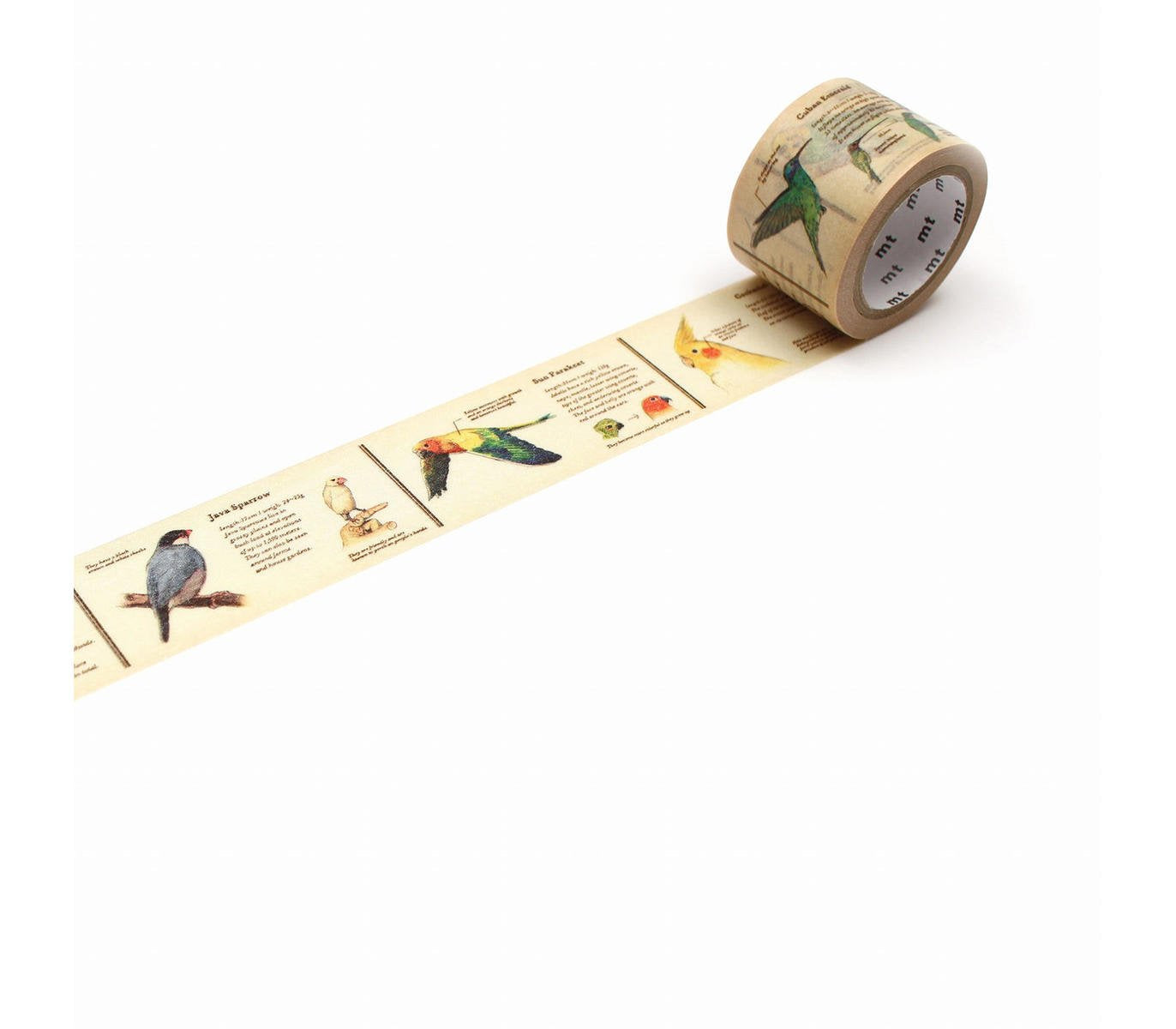 Washi Tape Masking Tape Encyclopedia Bird