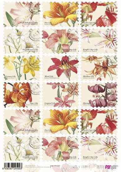 Papel de arroz A4 Flowers & Stamps Papers for you